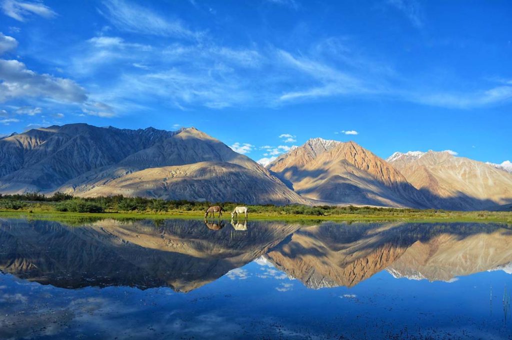 Navigating the Skies and Embracing the Land: A Comprehensive Guide to Flights and Accommodations in Leh Ladakh